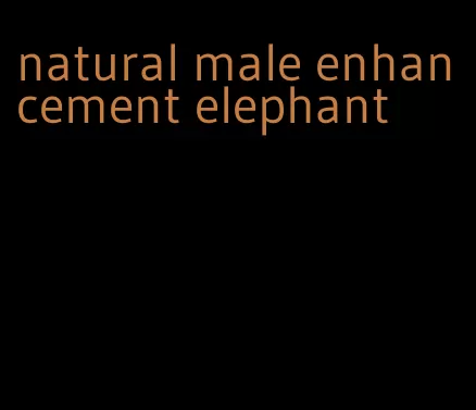 natural male enhancement elephant