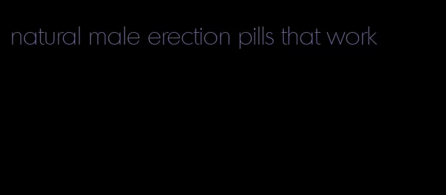 natural male erection pills that work