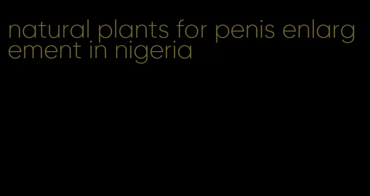 natural plants for penis enlargement in nigeria