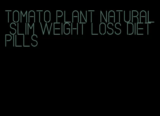 tomato plant natural slim weight loss diet pills