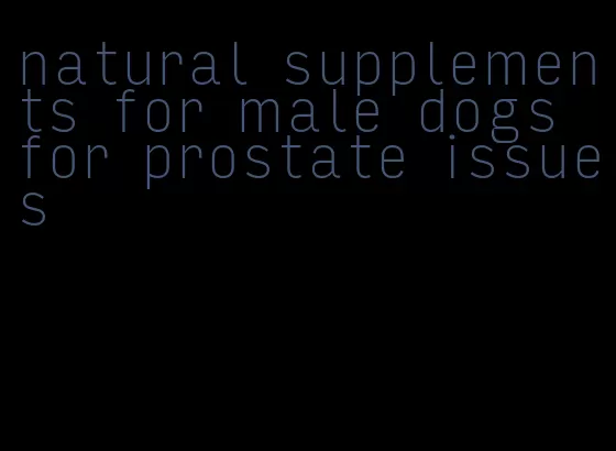 natural supplements for male dogs for prostate issues