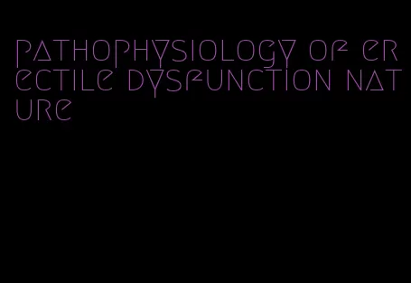 pathophysiology of erectile dysfunction nature