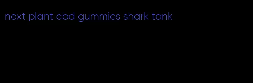 next plant cbd gummies shark tank