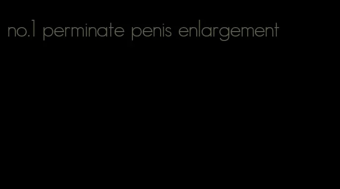 no.1 perminate penis enlargement