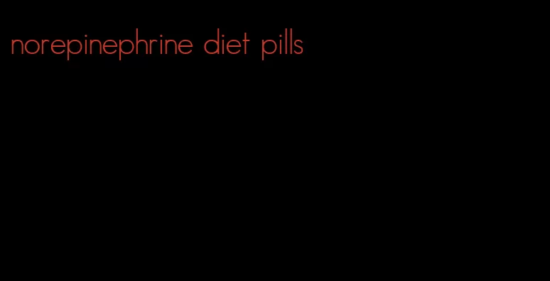 norepinephrine diet pills