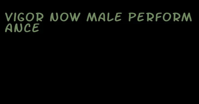 vigor now male performance