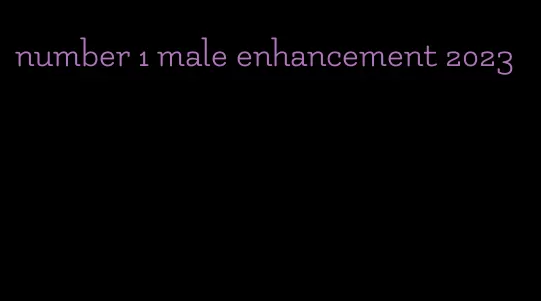 number 1 male enhancement 2023