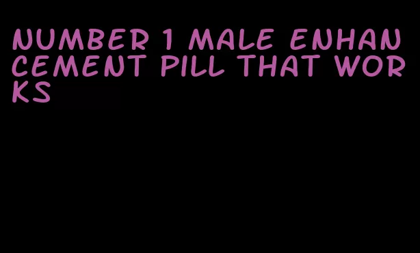 number 1 male enhancement pill that works