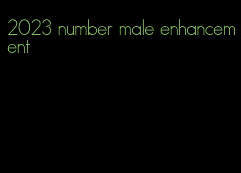 2023 number male enhancement