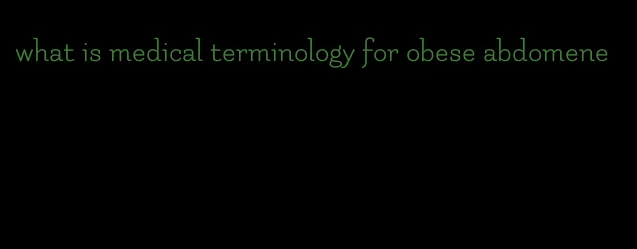 what is medical terminology for obese abdomene