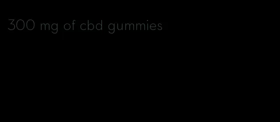 300 mg of cbd gummies