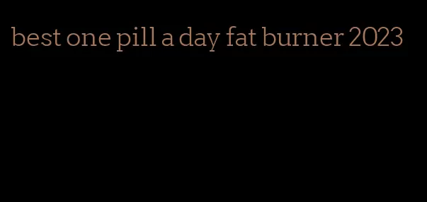 best one pill a day fat burner 2023