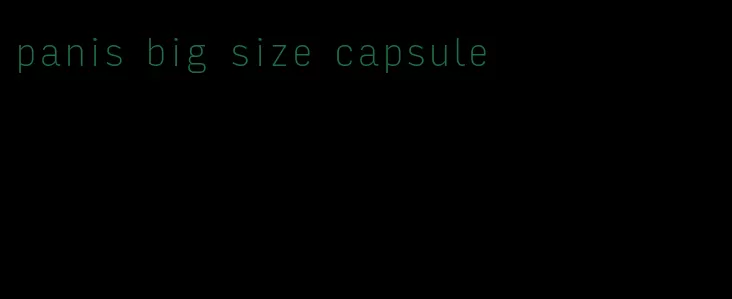 panis big size capsule