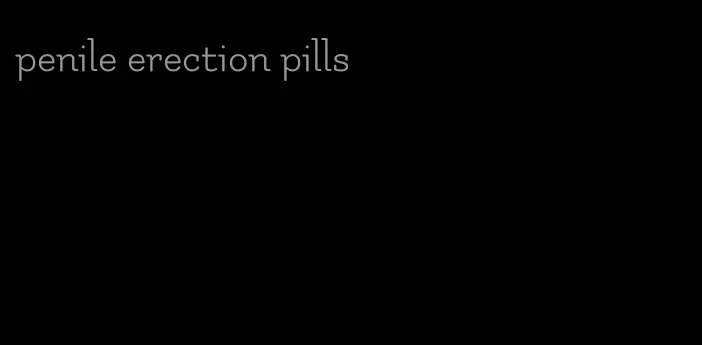 penile erection pills