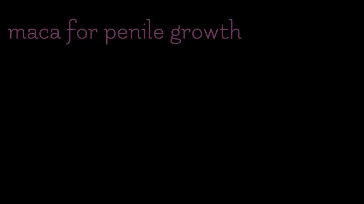 maca for penile growth