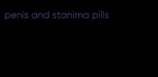 penis and stanima pills