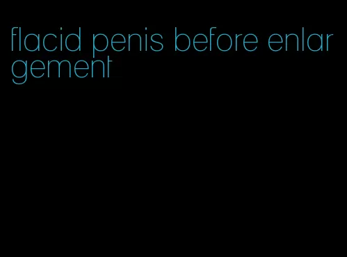 flacid penis before enlargement