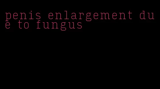 penis enlargement due to fungus