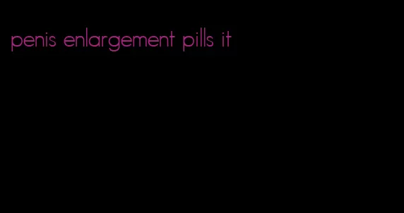 penis enlargement pills it