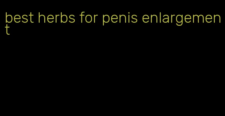 best herbs for penis enlargement