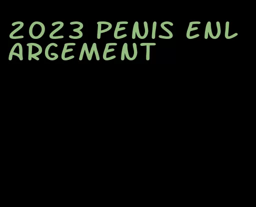 2023 penis enlargement