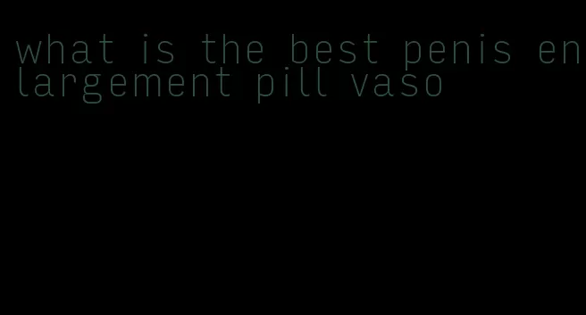 what is the best penis enlargement pill vaso