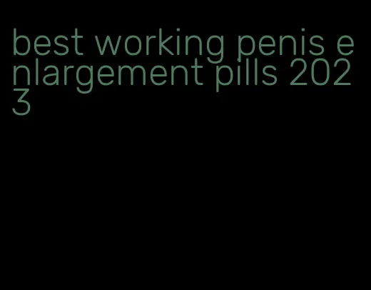 best working penis enlargement pills 2023