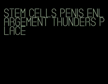 stem cells penis enlargement thunders place