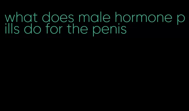 what does male hormone pills do for the penis