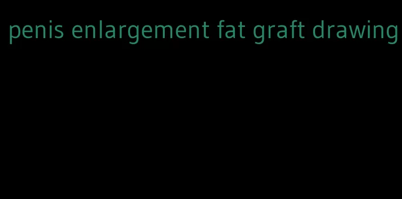 penis enlargement fat graft drawing