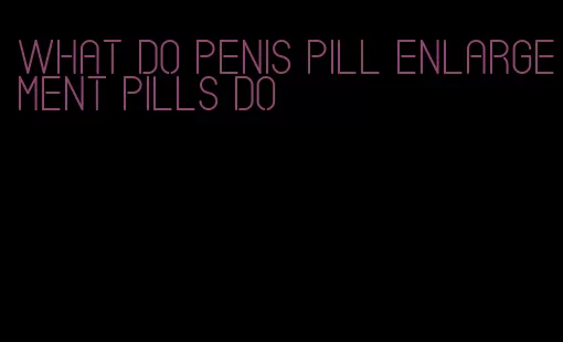 what do penis pill enlargement pills do