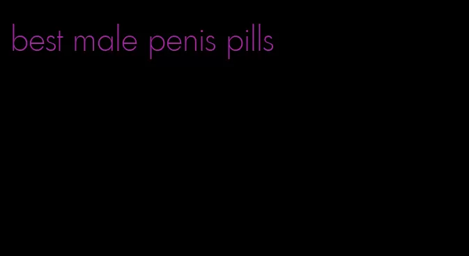 best male penis pills