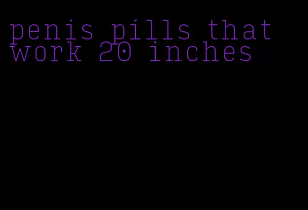 penis pills that work 20 inches