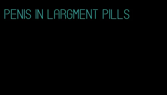 penis in largment pills