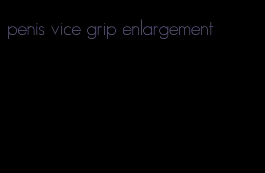 penis vice grip enlargement