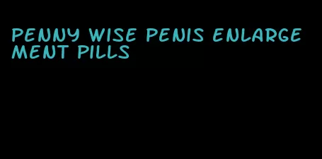 penny wise penis enlargement pills