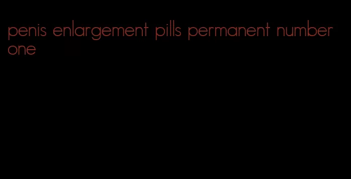 penis enlargement pills permanent number one