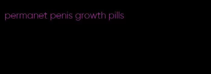 permanet penis growth pills