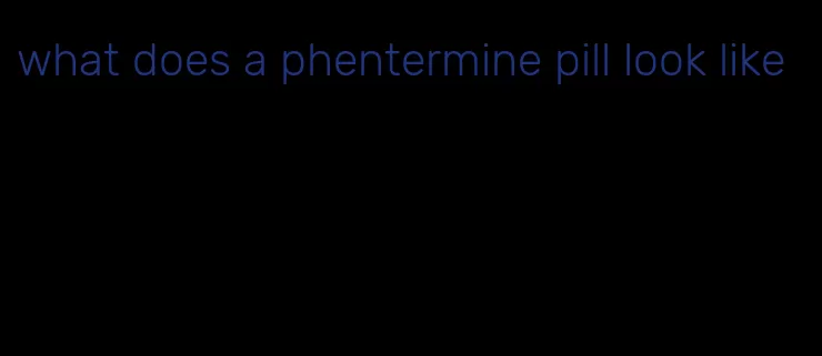 what does a phentermine pill look like