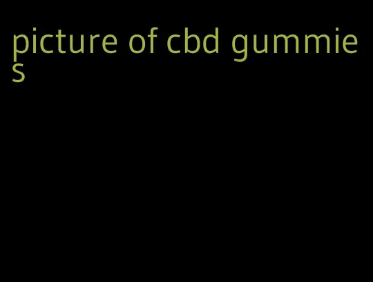 picture of cbd gummies