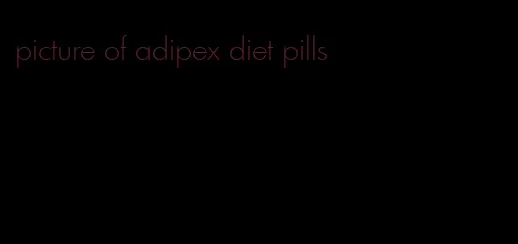 picture of adipex diet pills