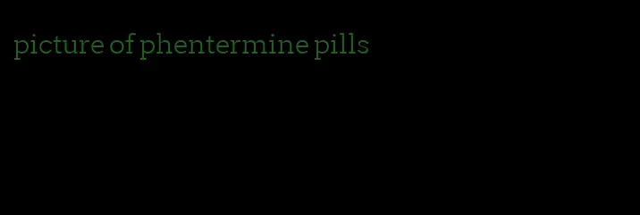 picture of phentermine pills