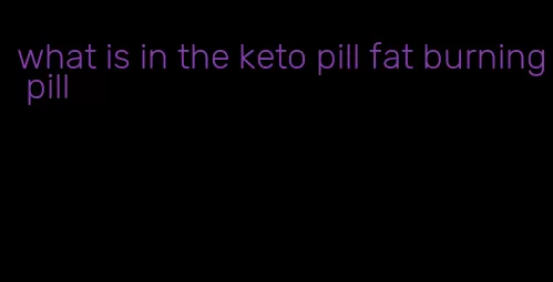 what is in the keto pill fat burning pill