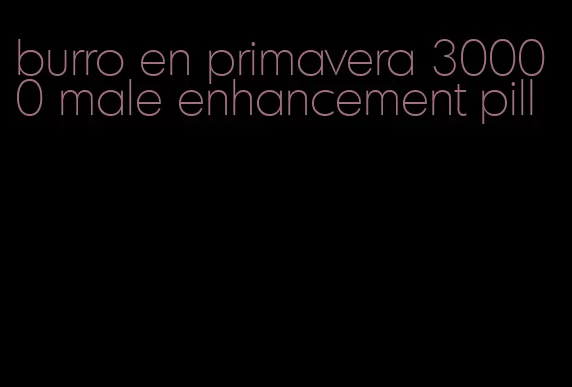 burro en primavera 30000 male enhancement pill