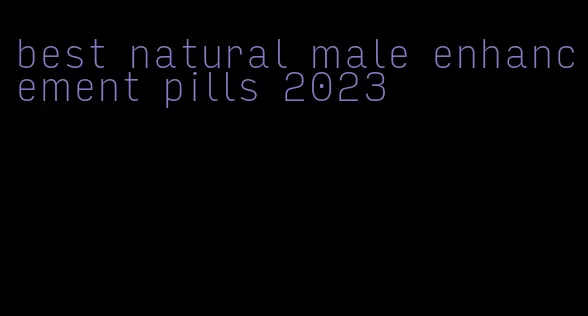 best natural male enhancement pills 2023