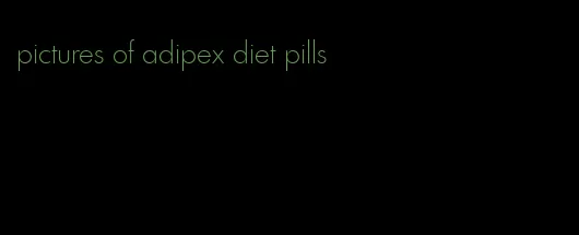 pictures of adipex diet pills