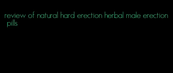 review of natural hard erection herbal male erection pills