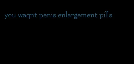 you waqnt penis enlargement pills