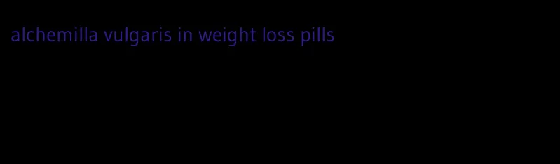 alchemilla vulgaris in weight loss pills