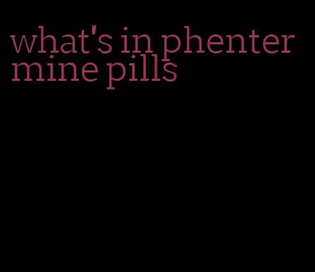 what's in phentermine pills